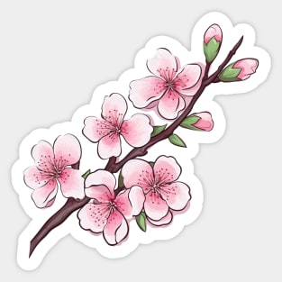 Cherry Blossom Art Sticker